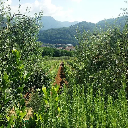 Tenuta La Fratta Country house