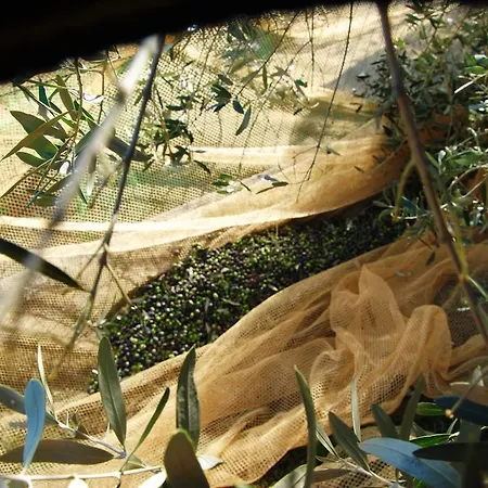 Tenuta La Fratta
