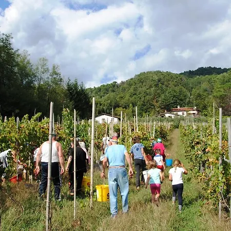 Tenuta La Fratta