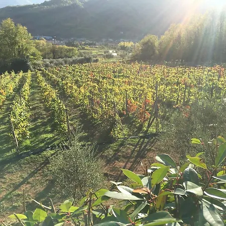 Country house Tenuta La Fratta