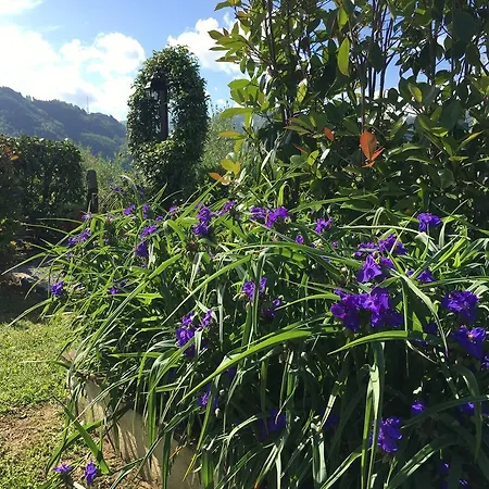 Country house Tenuta La Fratta *