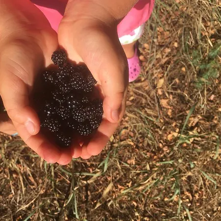 Tenuta La Fratta *