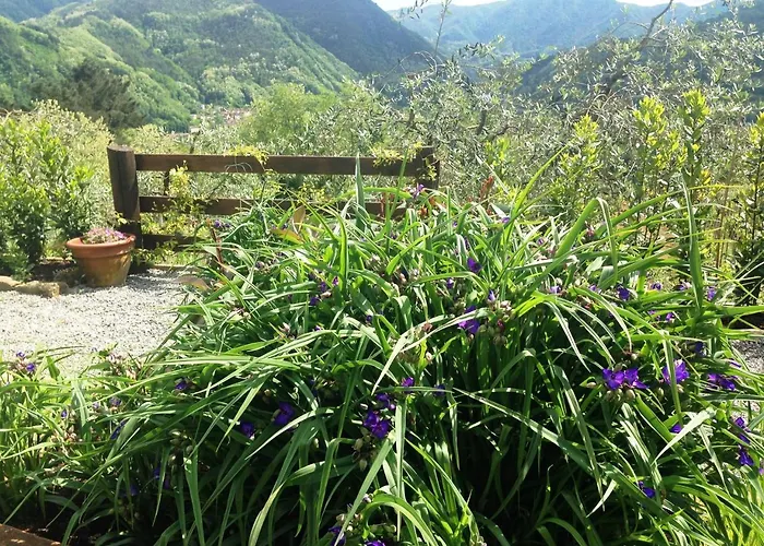 Tenuta La Fratta Bagni di Lucca